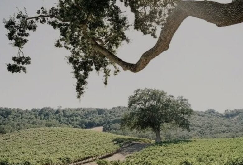 Classic Americana Farmhouse - Paso Robles, California