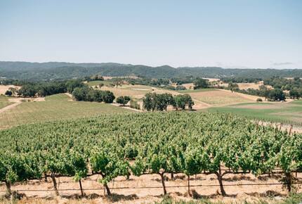 Classic Americana Farmhouse - Paso Robles, California