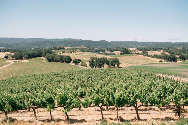 Classic Americana Farmhouse - Paso Robles, California