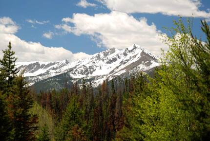 The Residences at Main Street Station, Breckenridge - Two-Bedroom - Breckenridge, Colorado