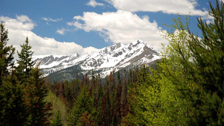 The Residences at Main Street Station, Breckenridge - Two-Bedroom - Breckenridge, Colorado