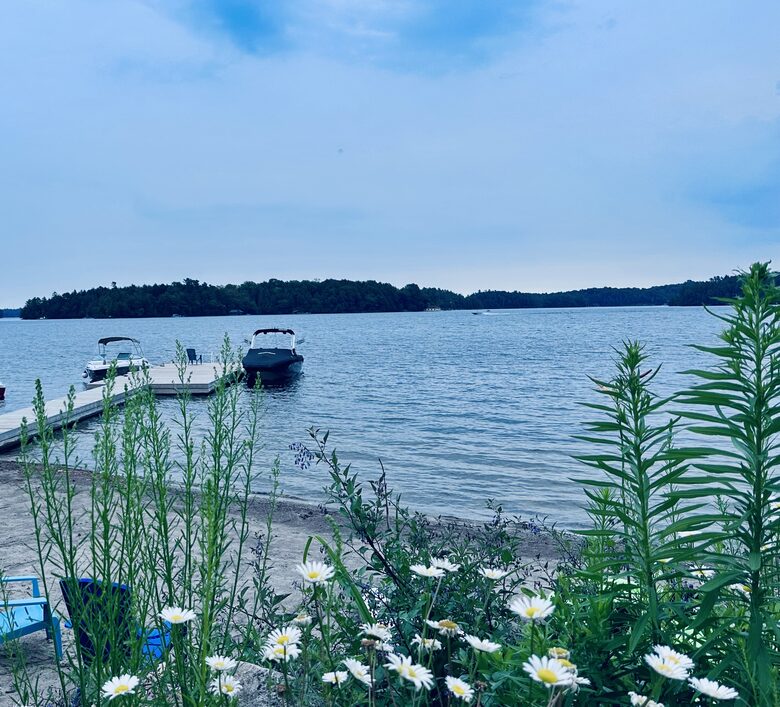 Charming Waterfront Cottage - Minett, Canada