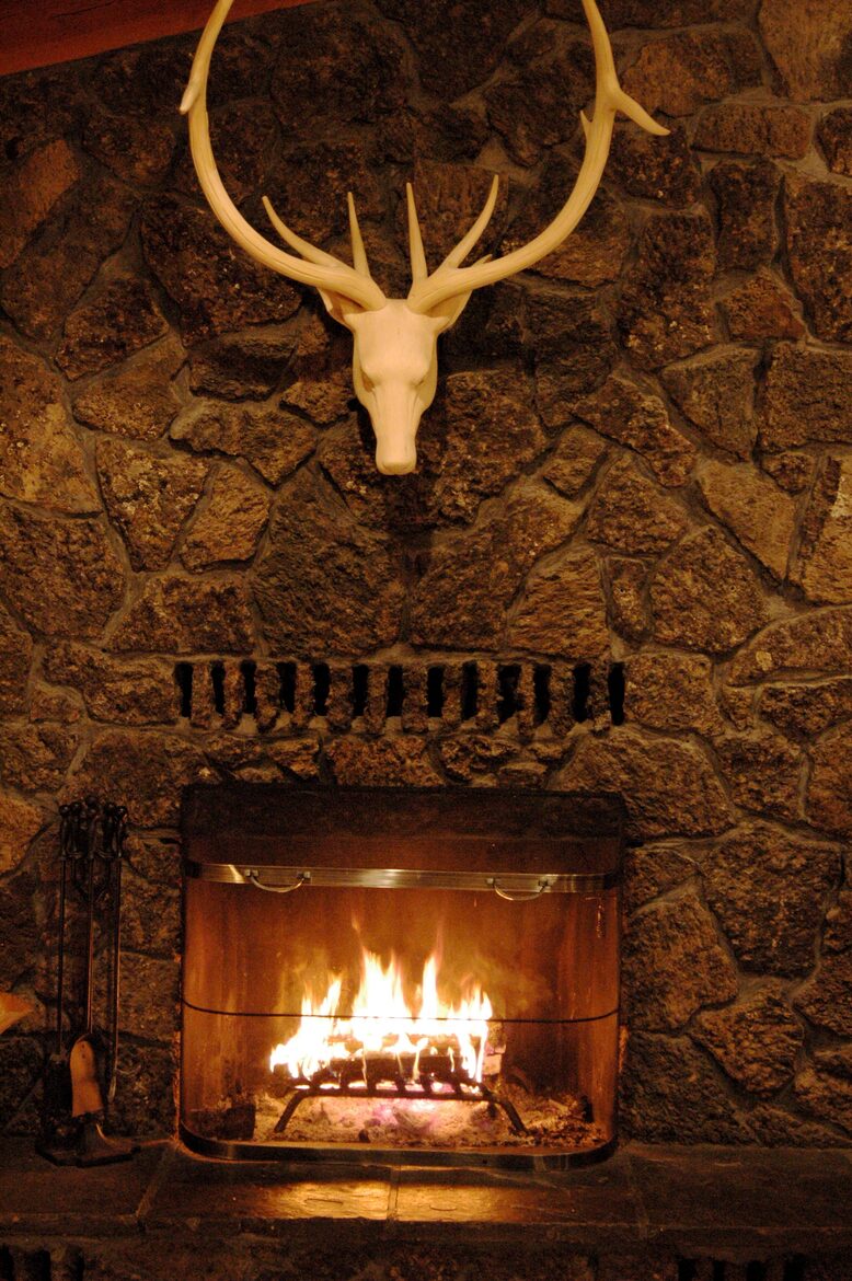 Aspen Meadow Lodge | Private Pickleball Court, Bonus Room, on 8.5 Acres - Sisters, Oregon