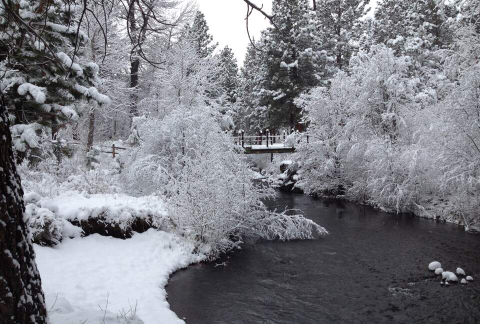 Aspen Meadow Lodge | Private Pickleball Court, Bonus Room, on 8.5 Acres - Sisters, Oregon