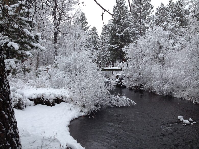 Aspen Meadow Lodge | Private Pickleball Court, Bonus Room, on 8.5 Acres - Sisters, Oregon