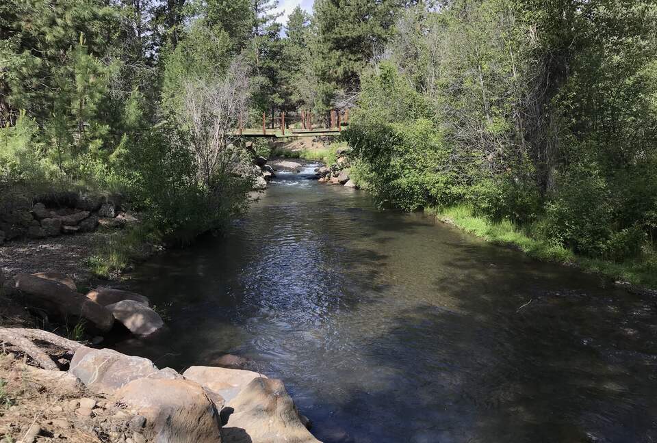 Aspen Meadow Lodge | Private Pickleball Court, Bonus Room, on 8.5 Acres - Sisters, Oregon