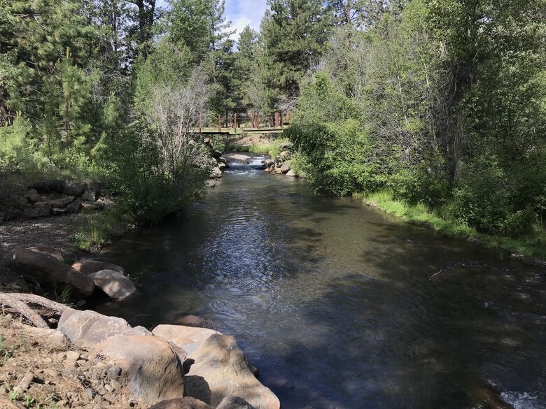 Aspen Meadow Lodge | Private Pickleball Court, Bonus Room, on 8.5 Acres - Sisters, Oregon