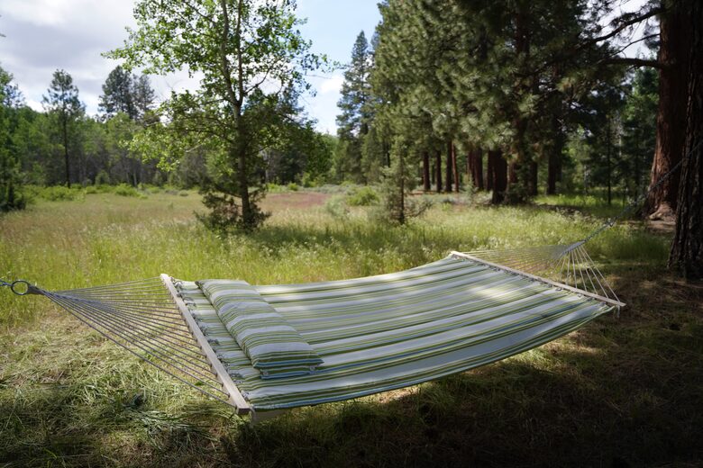 Aspen Meadow Lodge | Private Pickleball Court, Bonus Room, on 8.5 Acres - Sisters, Oregon