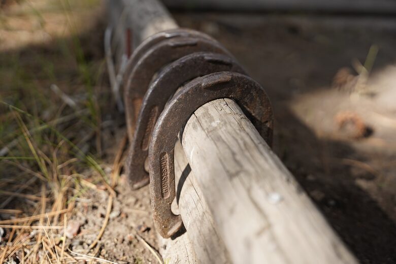 Aspen Meadow Lodge | Private Pickleball Court, Bonus Room, on 8.5 Acres - Sisters, Oregon