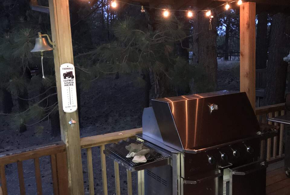 Aspen Meadow Lodge | Private Pickleball Court, Bonus Room, on 8.5 Acres - Sisters, Oregon