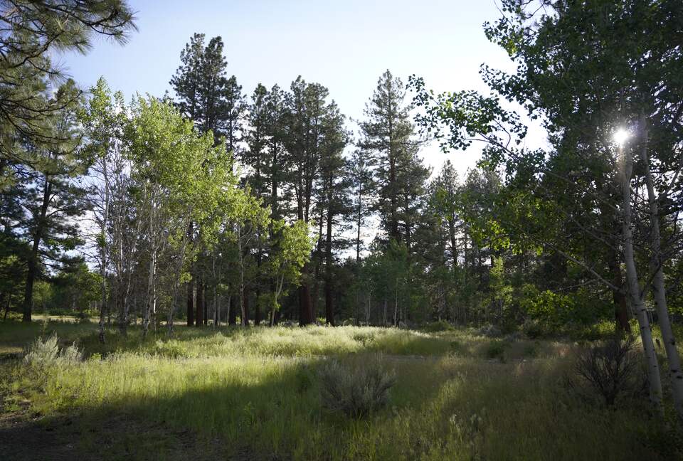 Aspen Meadow Lodge | Private Pickleball Court, Bonus Room, on 8.5 Acres - Sisters, Oregon