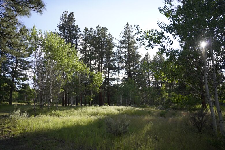 Aspen Meadow Lodge | Private Pickleball Court, Bonus Room, on 8.5 Acres - Sisters, Oregon