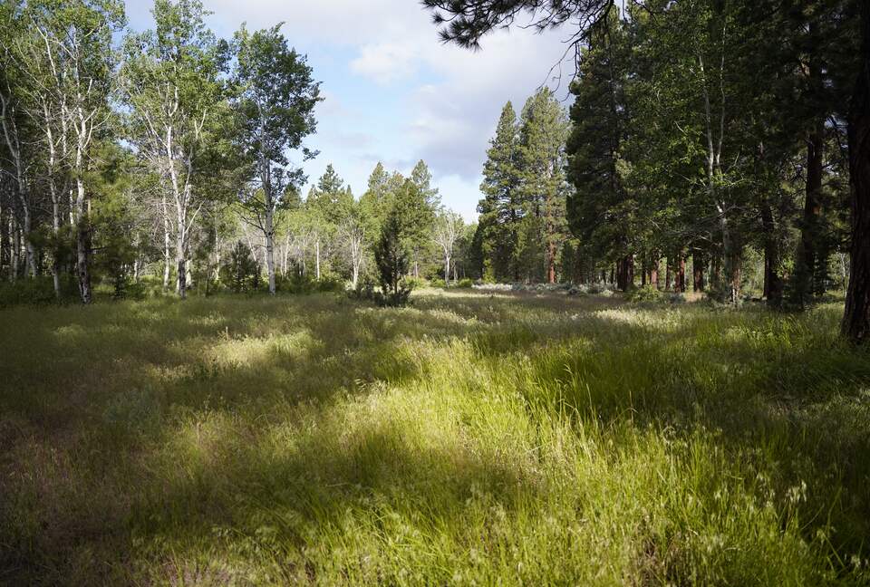 Aspen Meadow Lodge | Private Pickleball Court, Bonus Room, on 8.5 Acres - Sisters, Oregon