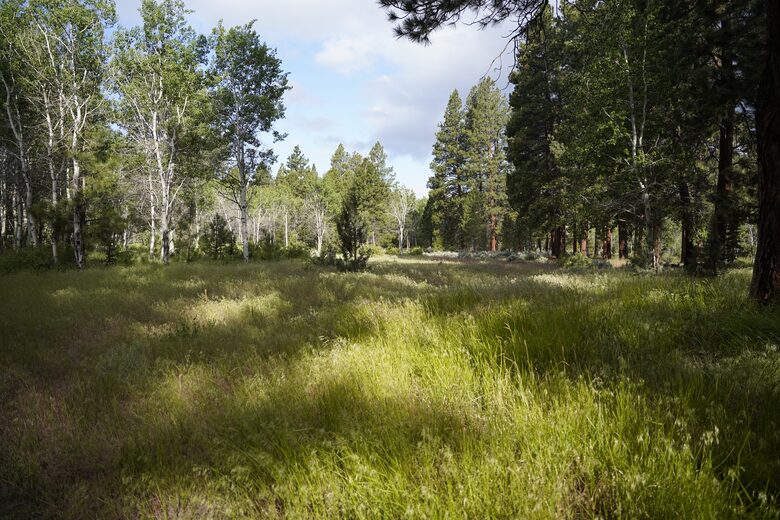 Aspen Meadow Lodge | Private Pickleball Court, Bonus Room, on 8.5 Acres - Sisters, Oregon