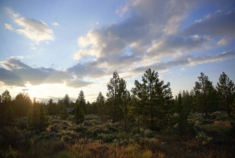Aspen Meadow Lodge | Private Pickleball Court, Bonus Room, on 8.5 Acres - Sisters, Oregon