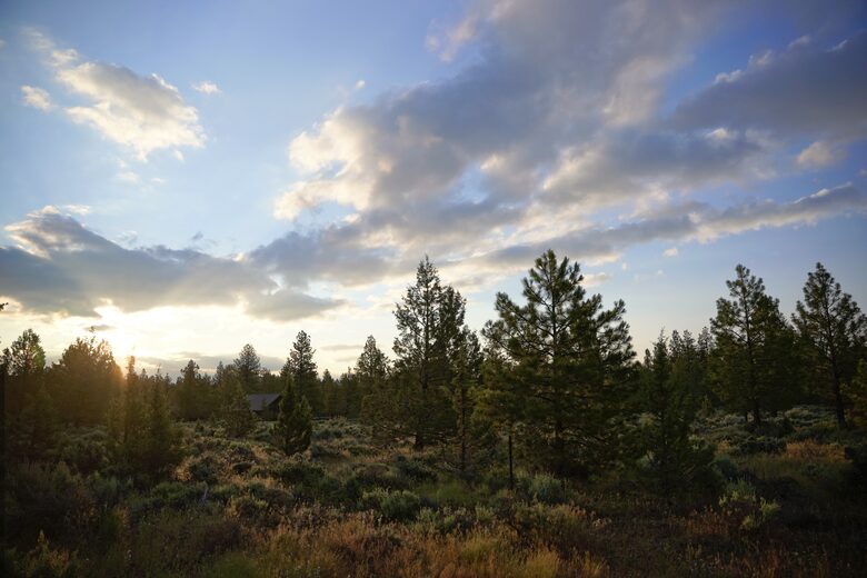 Aspen Meadow Lodge | Private Pickleball Court, Bonus Room, on 8.5 Acres - Sisters, Oregon