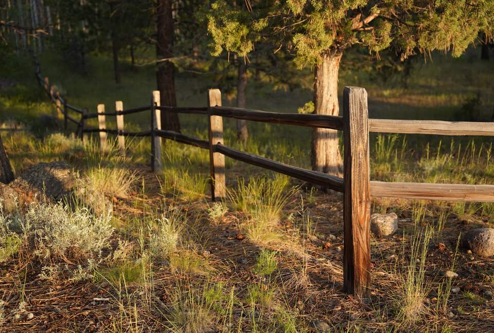 Aspen Meadow Lodge | Private Pickleball Court, Bonus Room, on 8.5 Acres - Sisters, Oregon