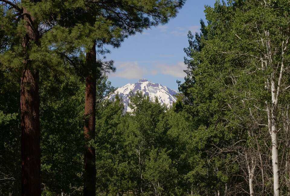 Aspen Meadow Lodge | Private Pickleball Court, Bonus Room, on 8.5 Acres - Sisters, Oregon