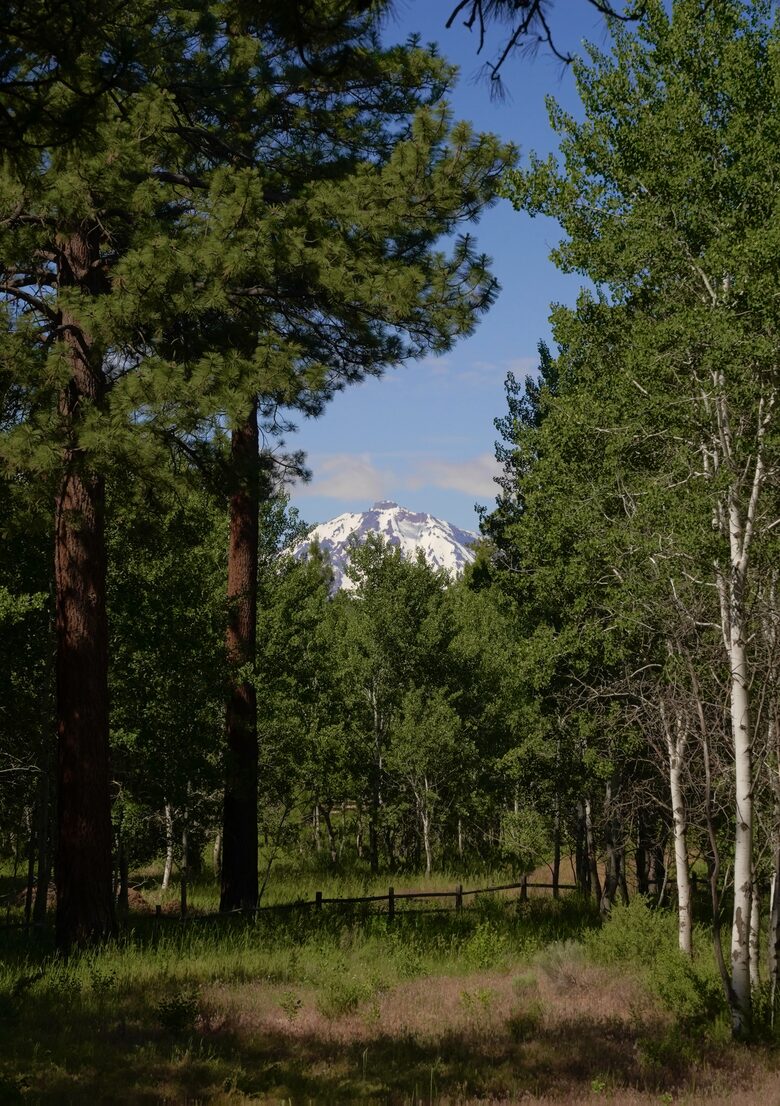 Aspen Meadow Lodge | Private Pickleball Court, Bonus Room, on 8.5 Acres - Sisters, Oregon