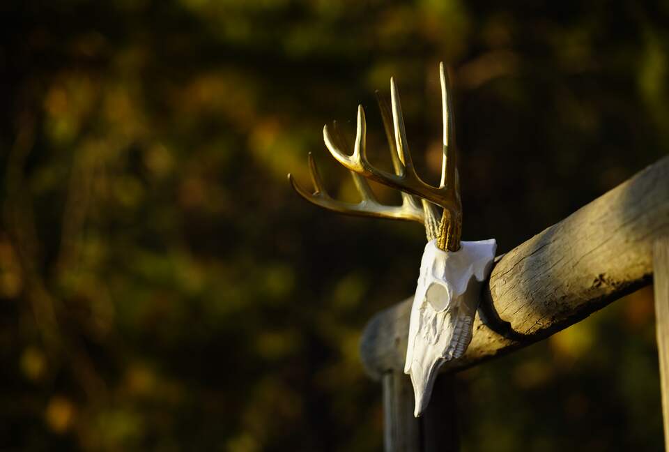 Aspen Meadow Lodge | Private Pickleball Court, Bonus Room, on 8.5 Acres - Sisters, Oregon