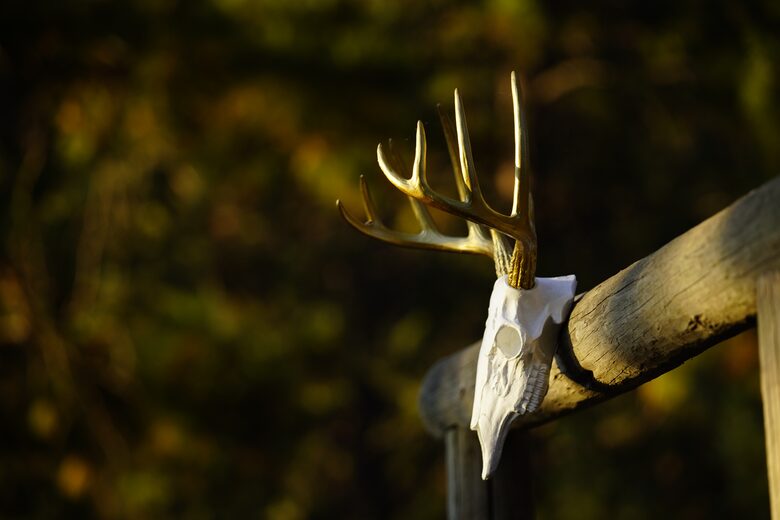 Aspen Meadow Lodge | Private Pickleball Court, Bonus Room, on 8.5 Acres - Sisters, Oregon