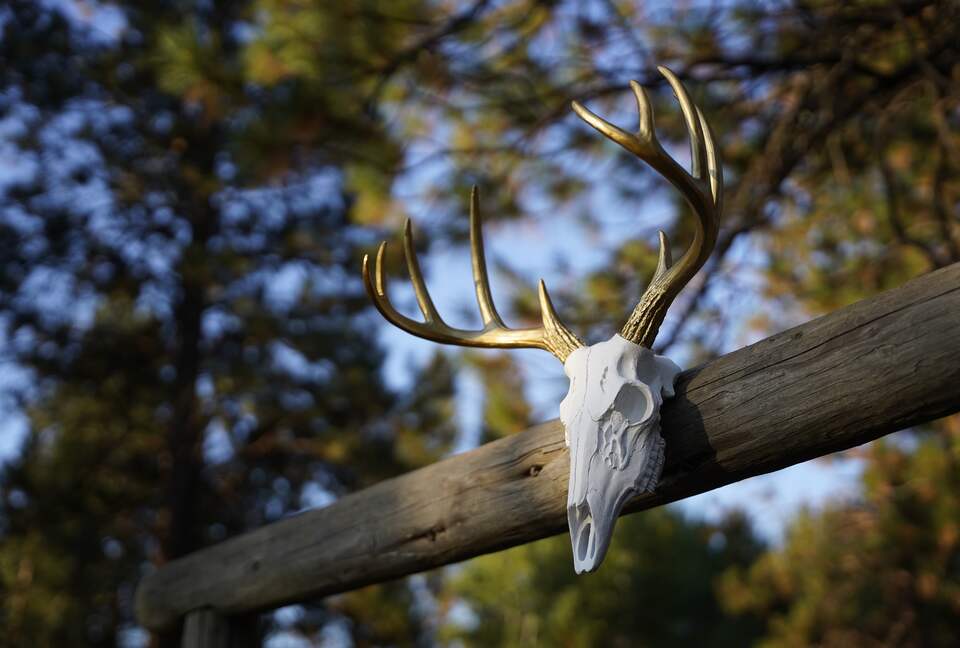 Aspen Meadow Lodge | Private Pickleball Court, Bonus Room, on 8.5 Acres - Sisters, Oregon