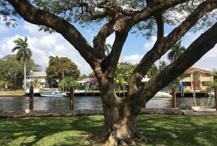 Forever Poinciana - Fort Lauderdale, Florida