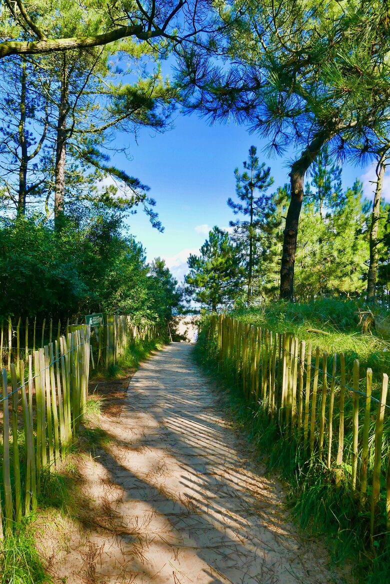 Monteagle Garden Apartment - Wells Next the Sea, United Kingdom