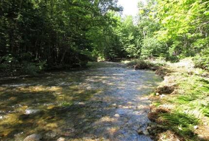 Spacious White Mountains Log Home | Close to Owl’s Nest, Loon and Waterville Ski Resorts - Thornton, New Hampshire