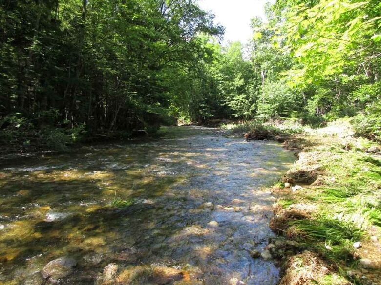 Spacious White Mountains Log Home | Close to Owl’s Nest, Loon and Waterville Ski Resorts - Thornton, New Hampshire