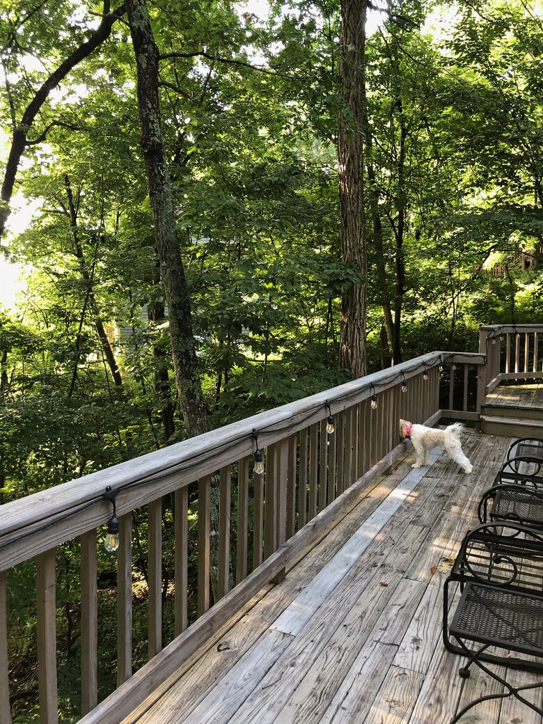 Wintergreen Retreat: Steps to Great Hiking on the Appalachain Trail - Wintergreen Resort, Virginia