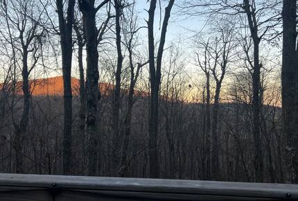 An afternoon spring view from the back deck