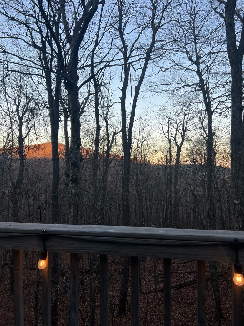 An afternoon spring view from the back deck