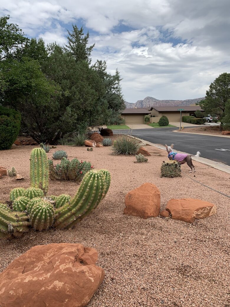Beautiful Sedona Retreat - Sedona, Arizona
