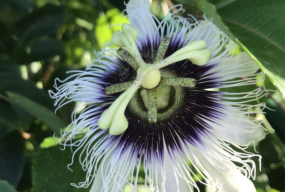 Beautiful 4 Bedroom Waterfront villa in Long Bay, Antigua - St philip's Parish, Antigua and Barbuda
