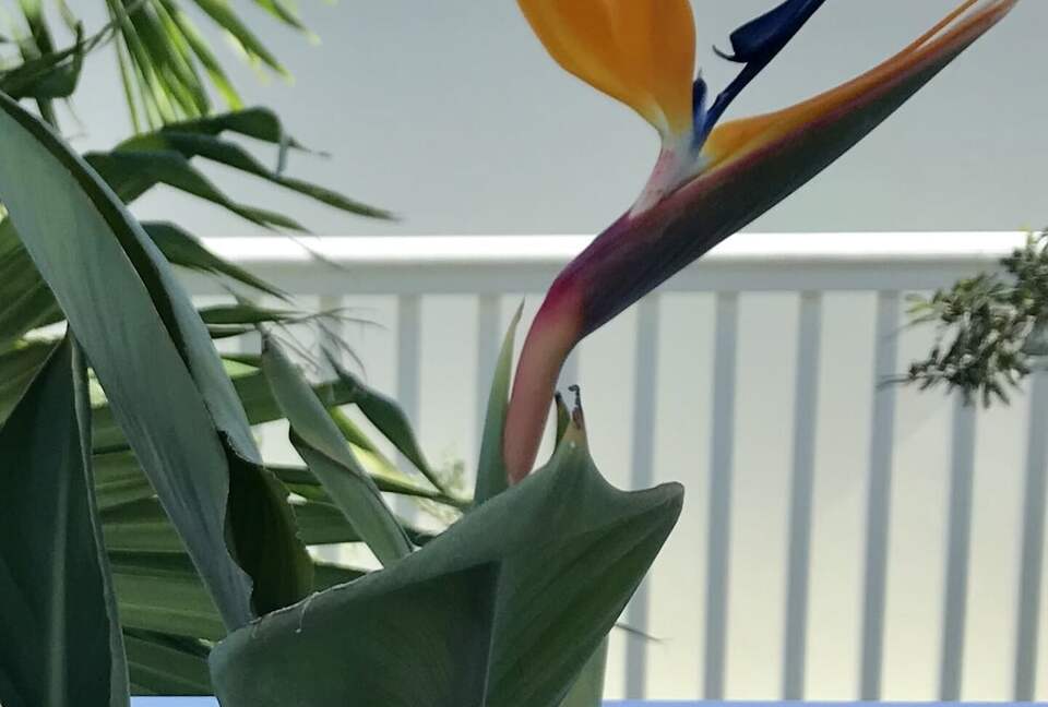 Beautiful 4 Bedroom Waterfront villa in Long Bay, Antigua - St philip's Parish, Antigua and Barbuda