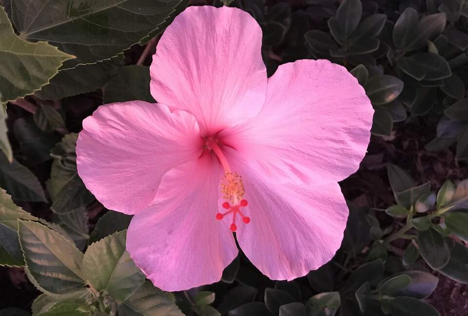 Beautiful 4 Bedroom Waterfront villa in Long Bay, Antigua - St philip's Parish, Antigua and Barbuda