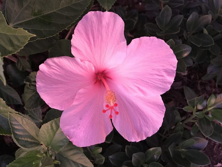 Beautiful 4 Bedroom Waterfront villa in Long Bay, Antigua - St philip's Parish, Antigua and Barbuda