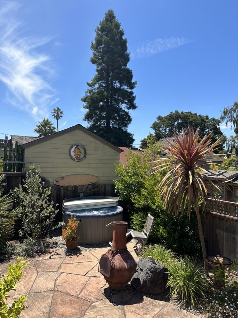 Hot tub and chiminea fireplace area