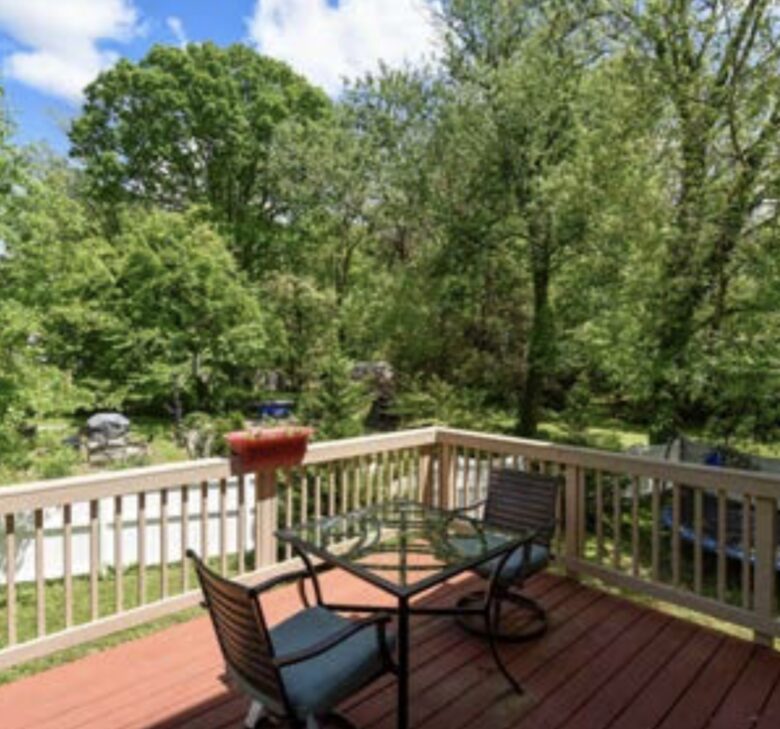 Modern Family Home in the DC Suburbs - Falls Church, Virginia