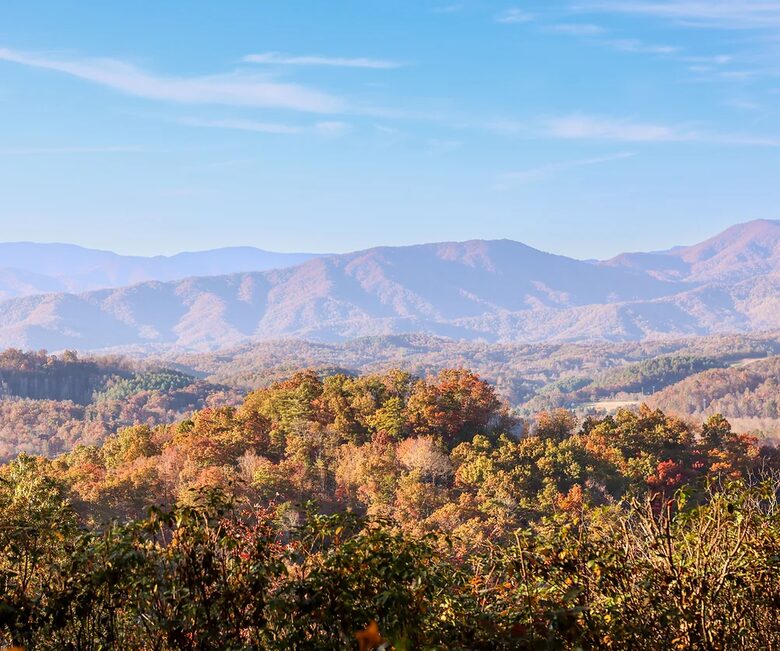 Chalet Lodge - Whittier, North Carolina