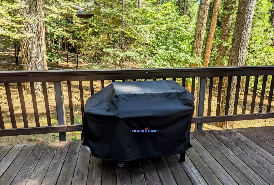 Modern Cabin in Blue Lake Springs - Arnold, California