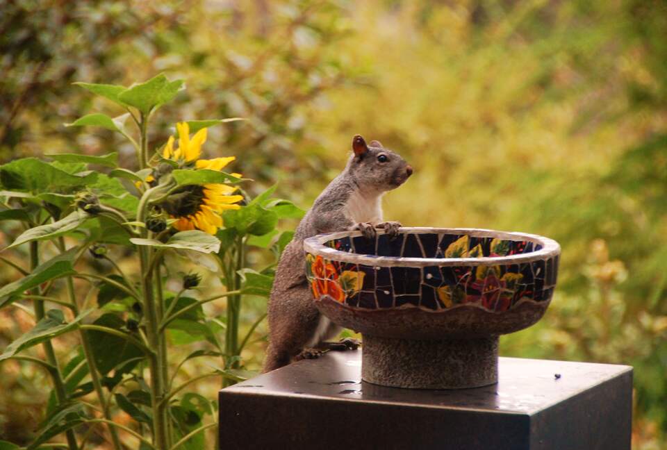 A King Room at the Brewery Gulch Inn & Spa (EH) - Mendocino, California