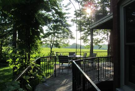 Niagara Vineyard Estate House - Niagara, Canada