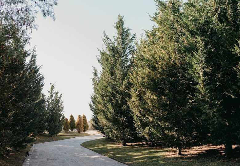 La Finca - San Miguel de Allende, Mexico