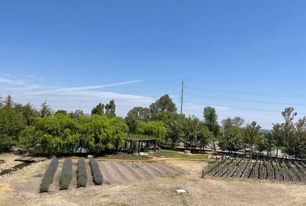 La Finca - San Miguel de Allende, Mexico