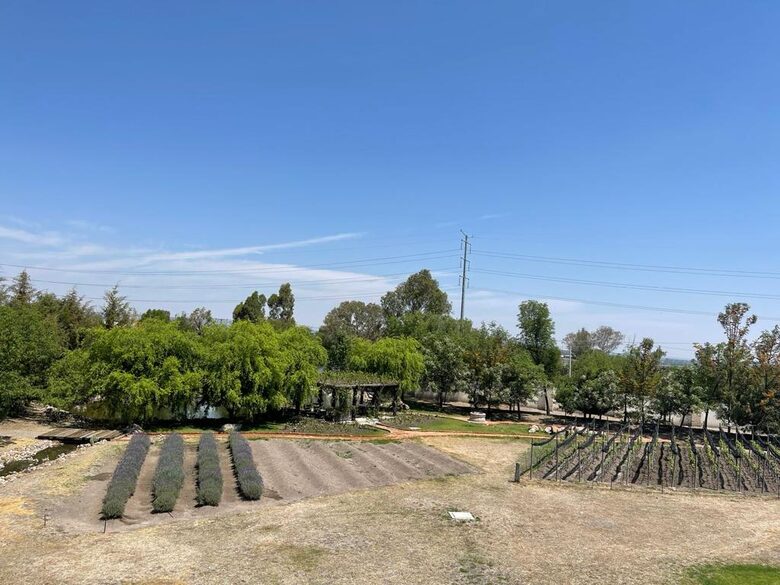 La Finca - San Miguel de Allende, Mexico