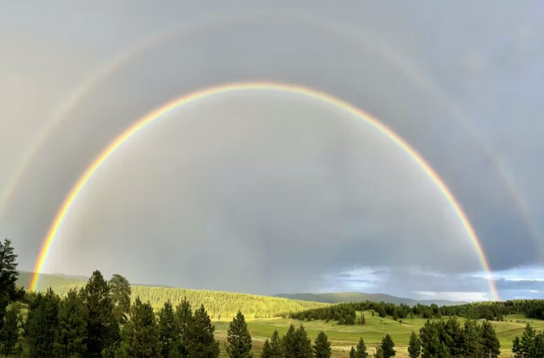 Alpine Escape on 80 Acres! - Angel Fire, New Mexico