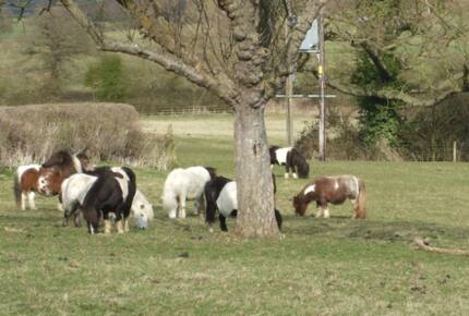 The Teachers House - Near Shipston-on-Stour, United Kingdom