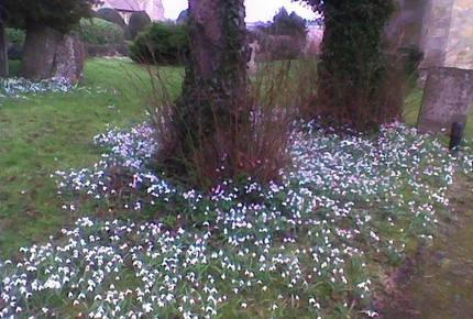 The Teachers House - Near Shipston-on-Stour, United Kingdom